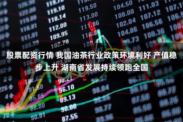 股票配资行情 我国油茶行业政策环境利好 产值稳步上升 湖南省发展持续领跑全国